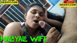 Malayali Wife – 2025 – Malayalam Uncut Short Film – SR Youtubers